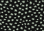 black* design